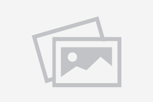 No hay imagen disponible